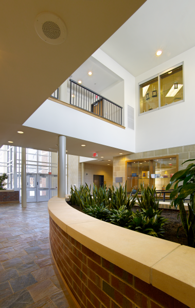 Rutt atrium