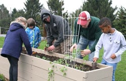 ND-Plentiful-Garden