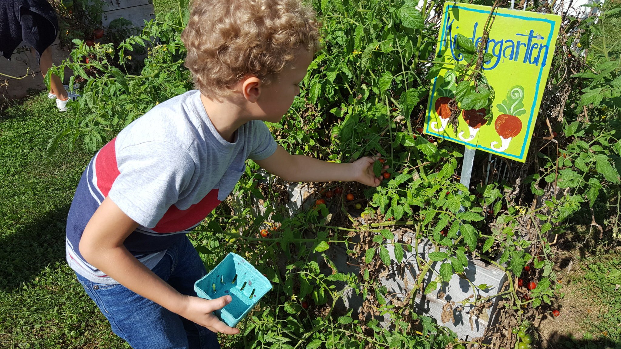 Students attending to garden