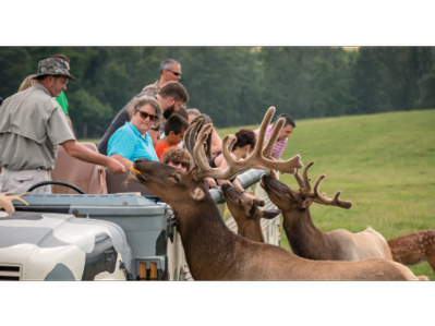 Lake Tobias safari tour