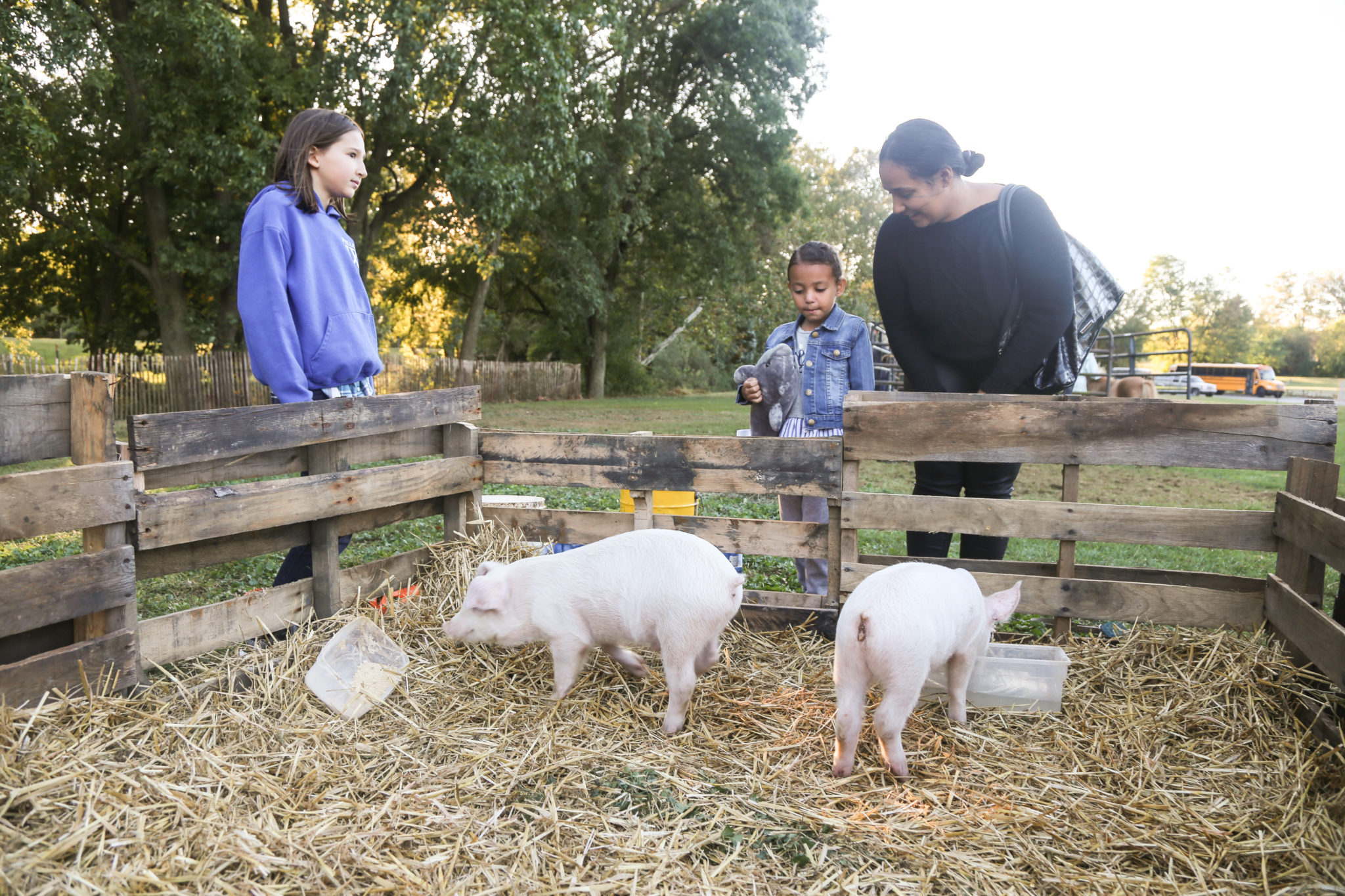 people with pigs at petting zoo for homecoming 2019