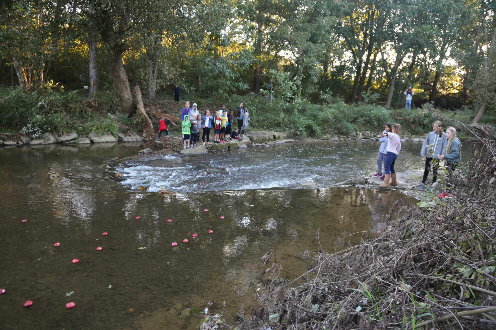 students down by millstream creek playing