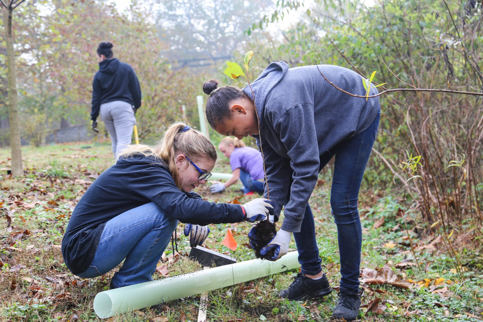 students planting trees