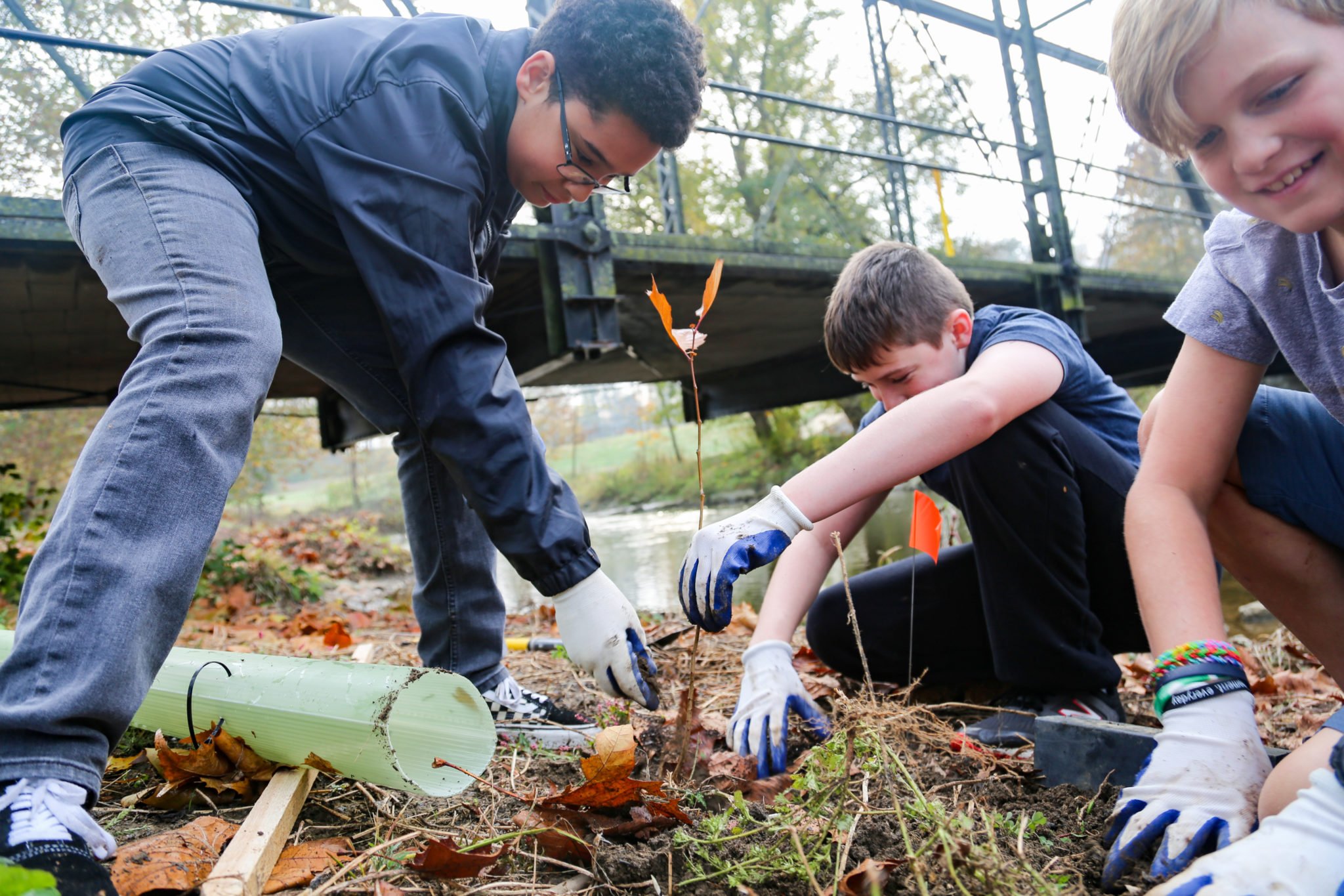 student planting trees on mill stream