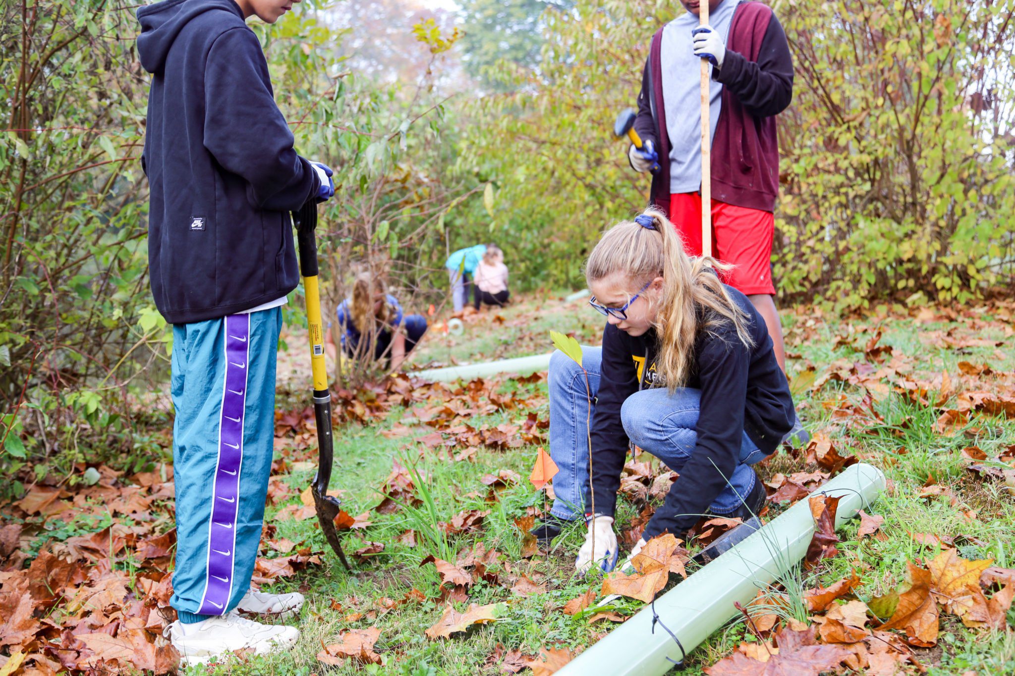 student planting trees on mill stream