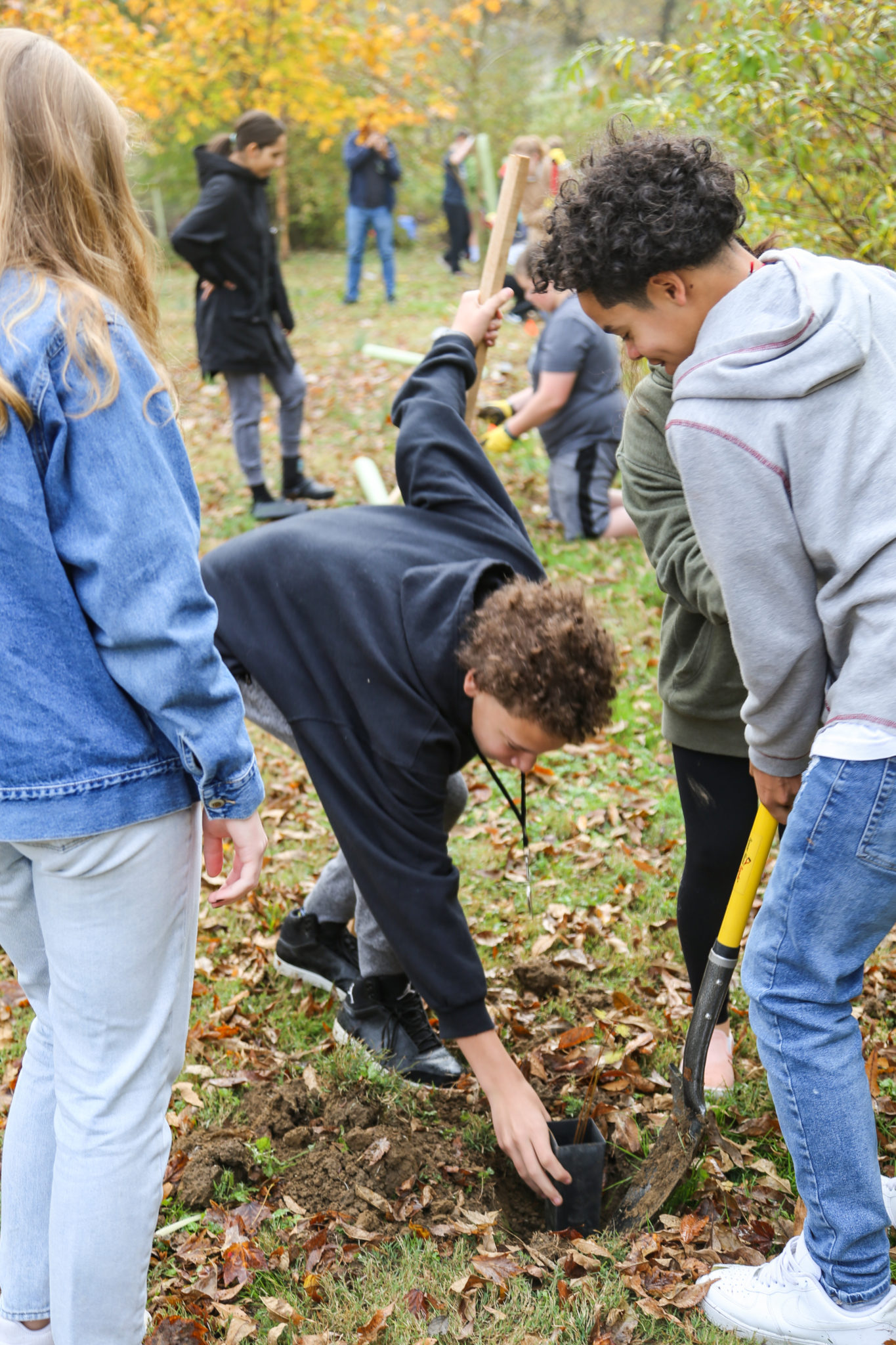 students planting plants