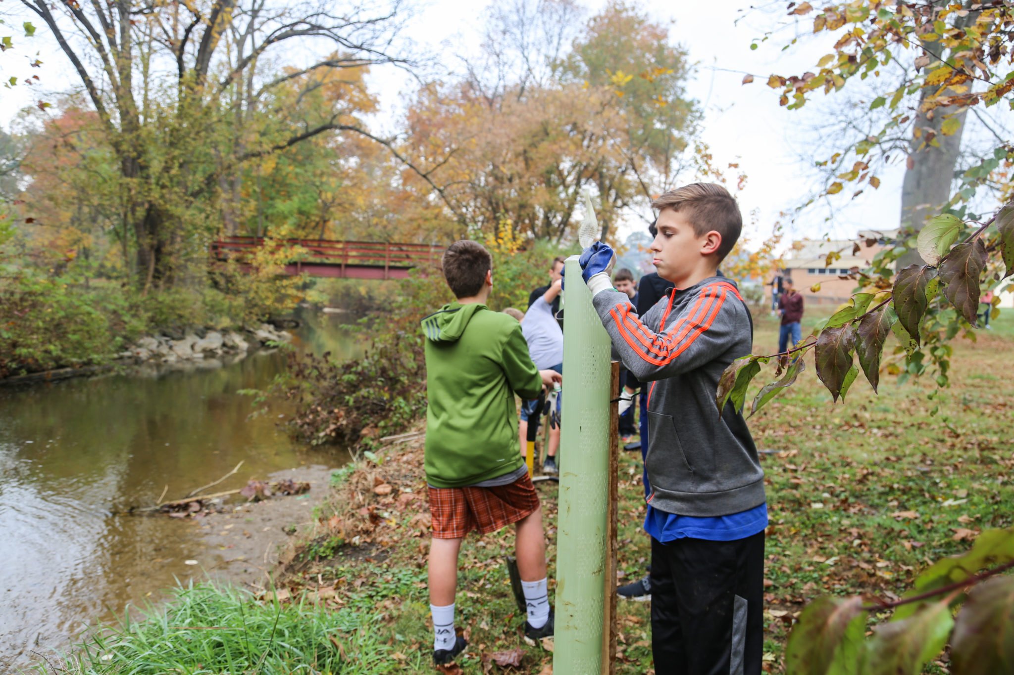 student planting trees on mill stream