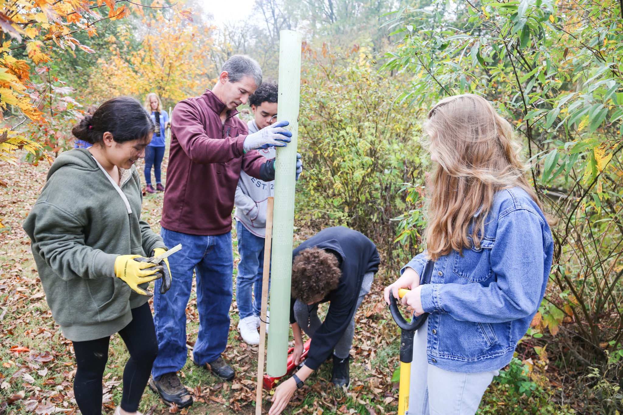 student planting trees on mill stream