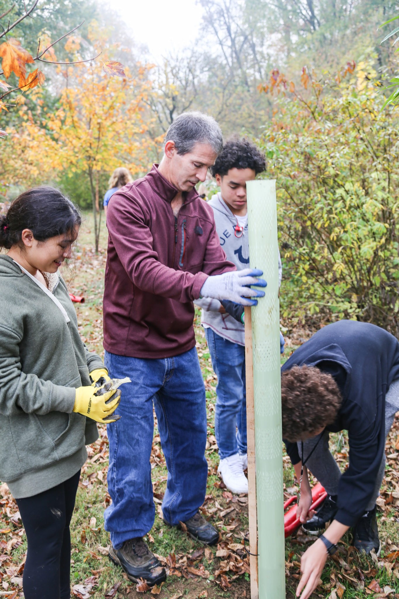 student planting trees on mill stream