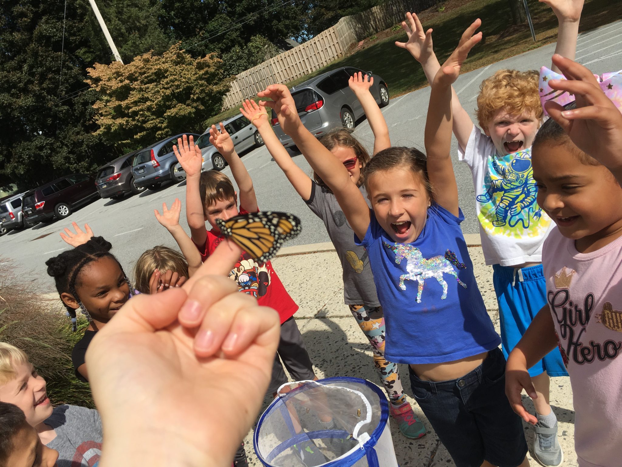 students enjoying a butterfly