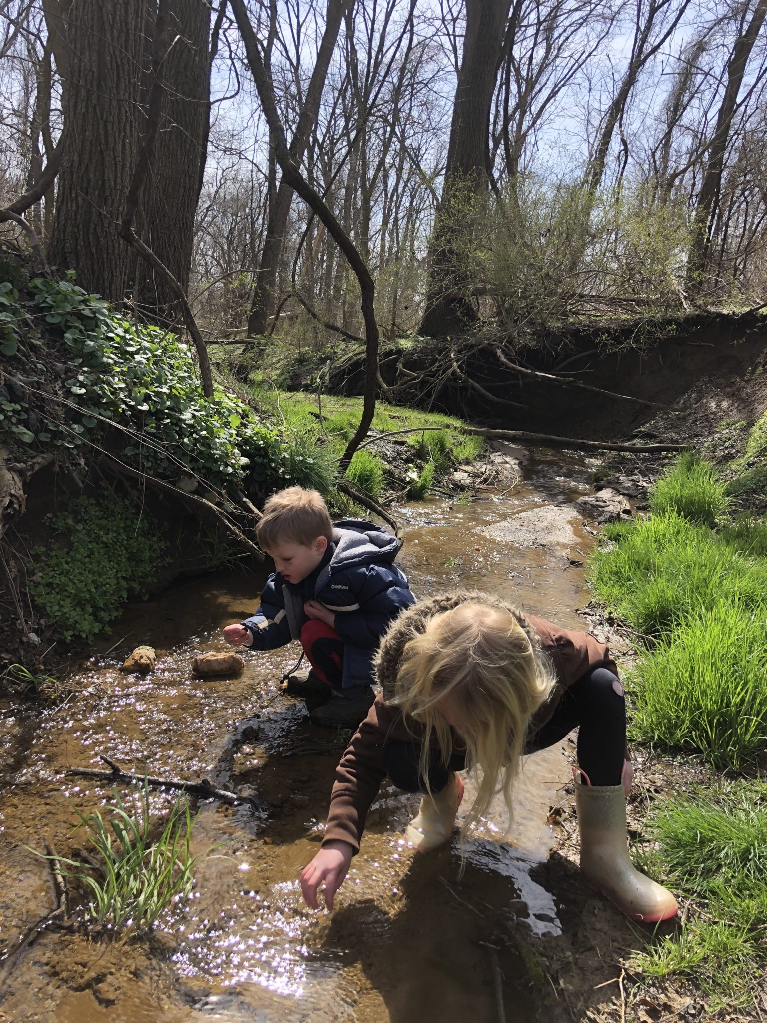 students in a creek