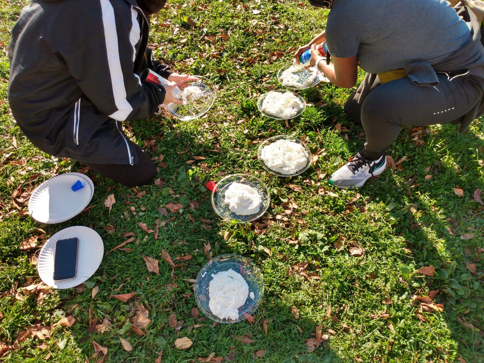 Locust Grove pie in the face