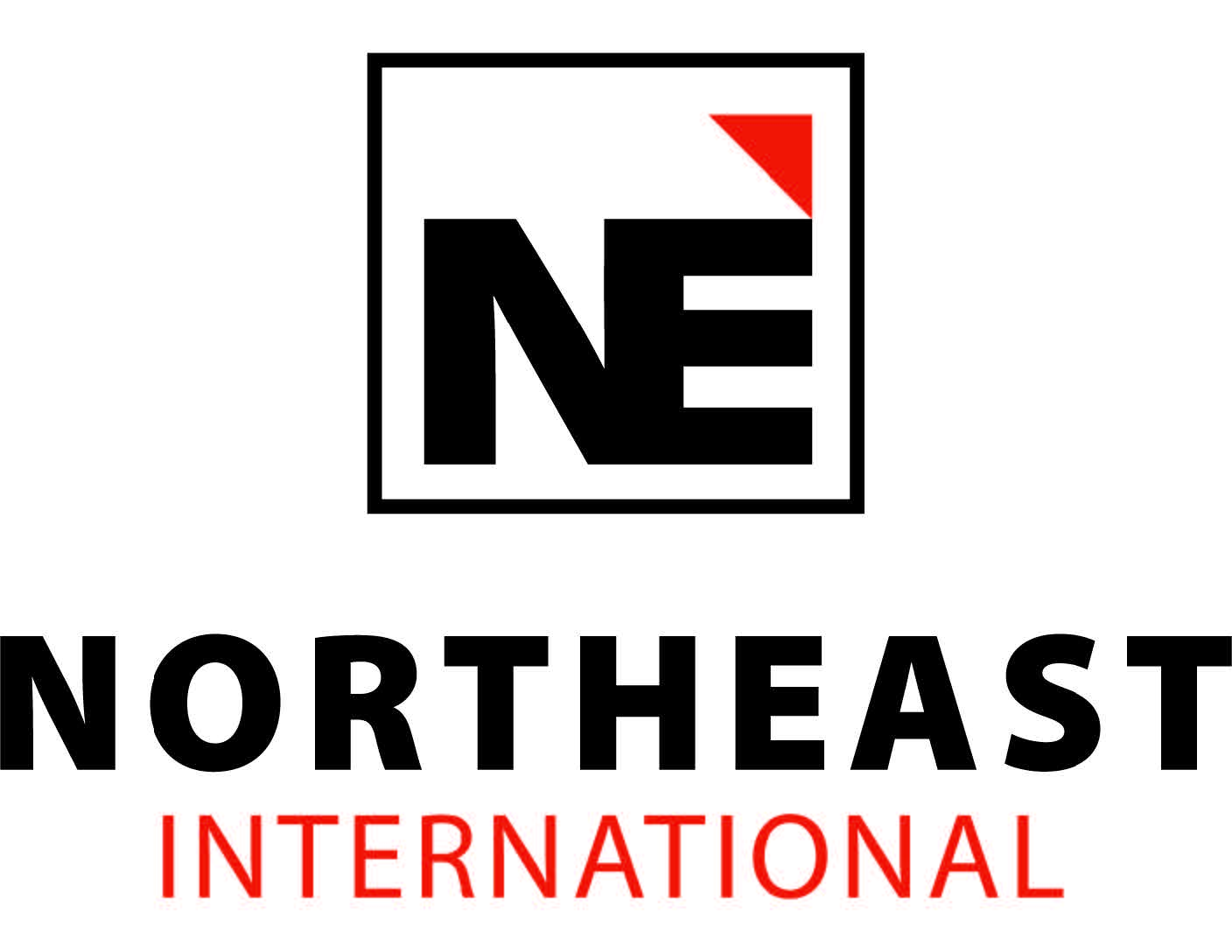 north east international logo