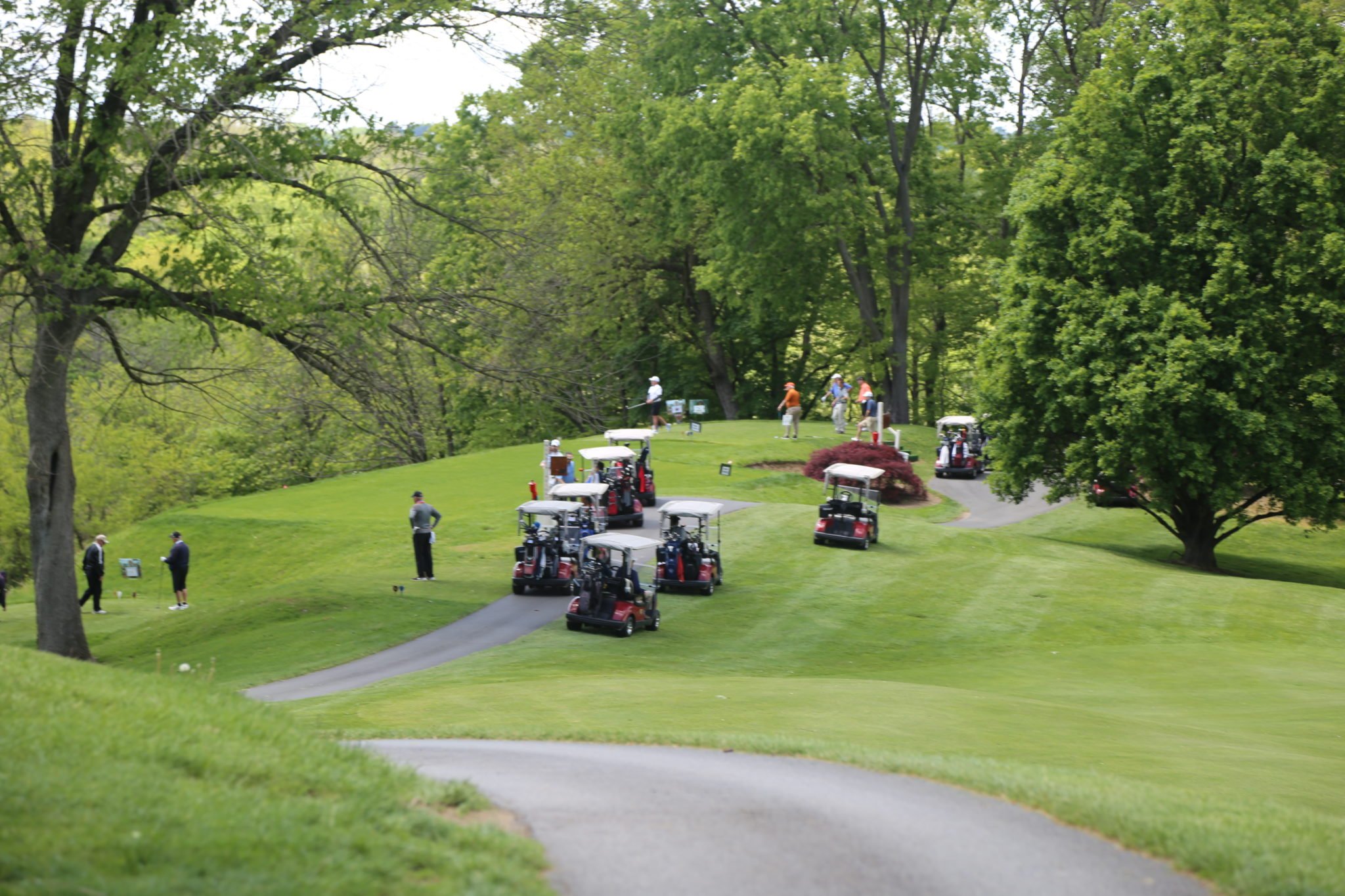 view of golf course with golf carts