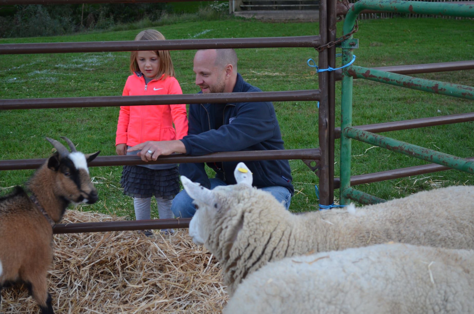 father and child at petting zoo
