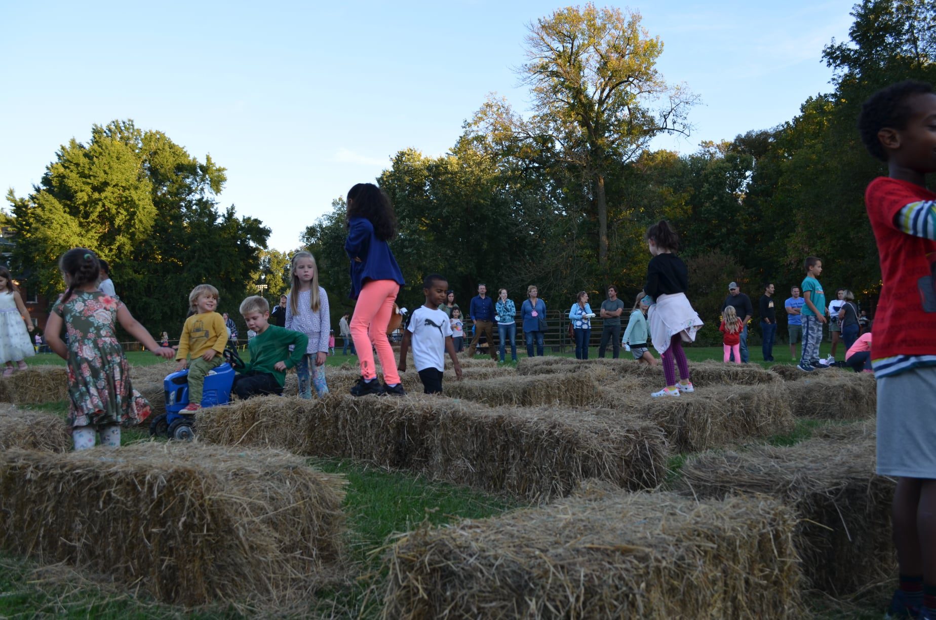 children in the bale maze