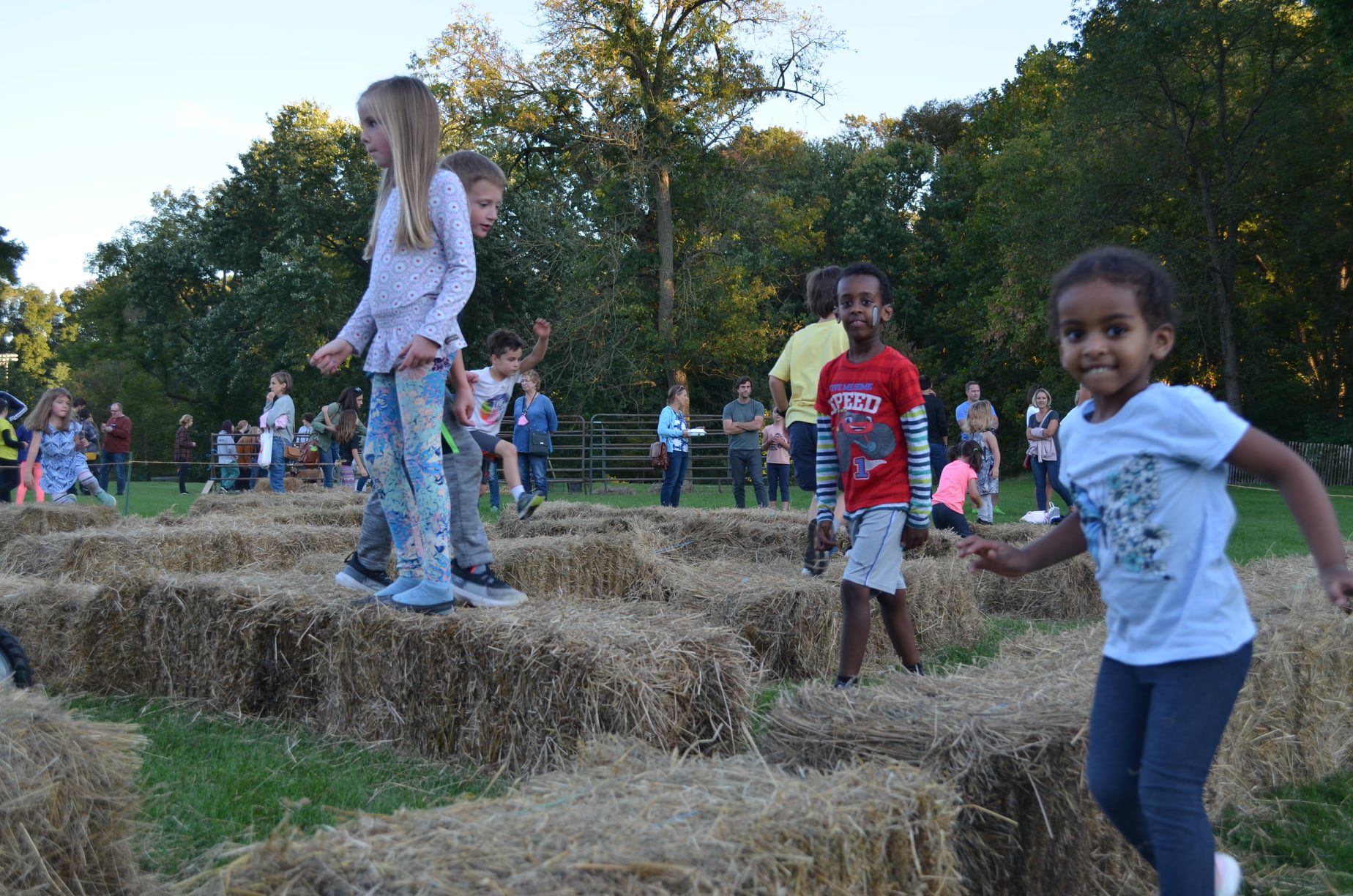 children in the bale maze