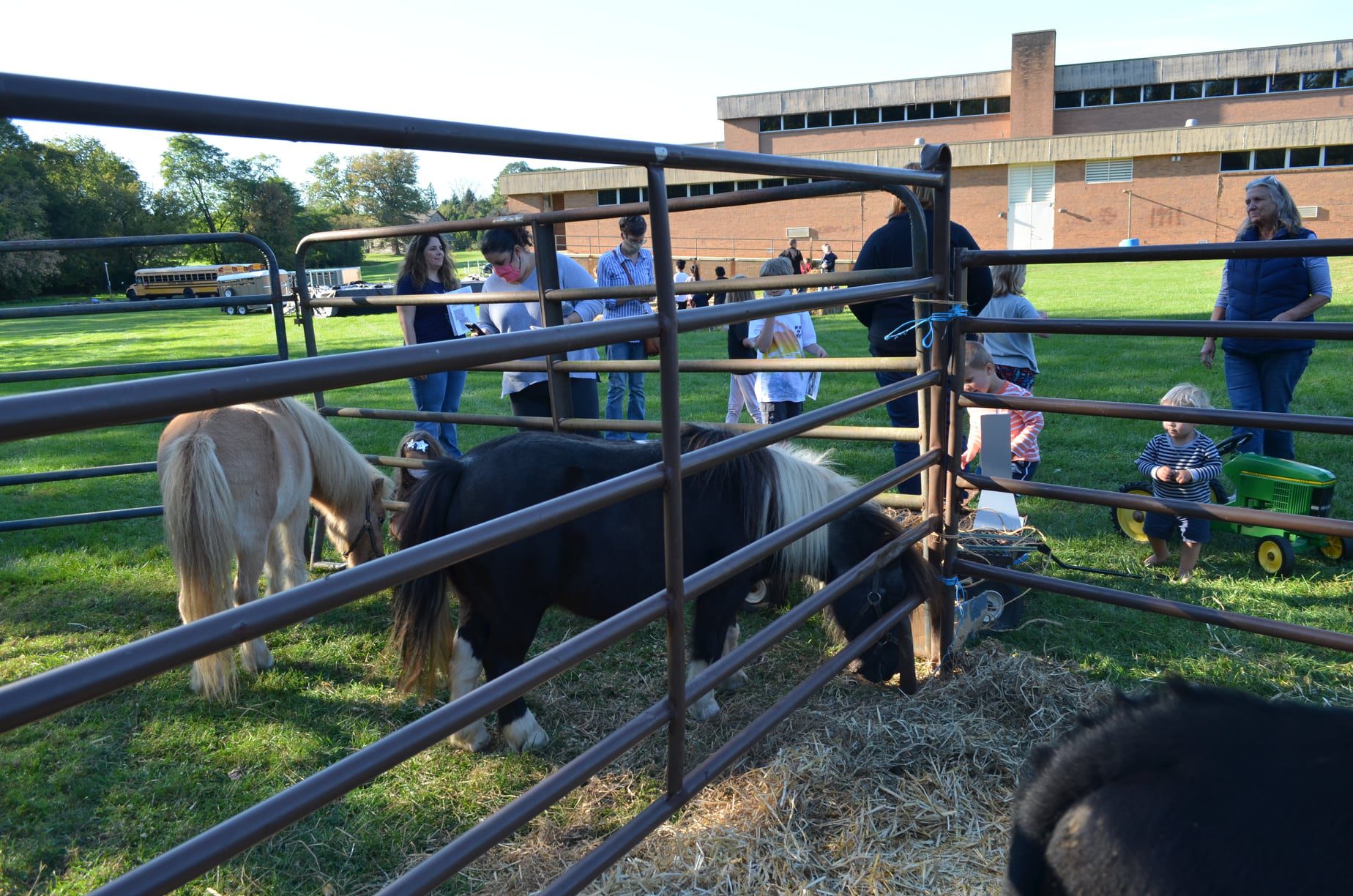 petting zoo