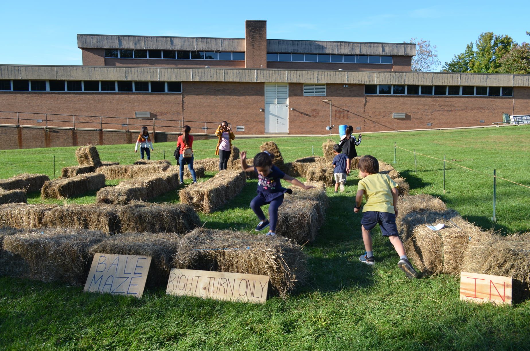 students in bale maze