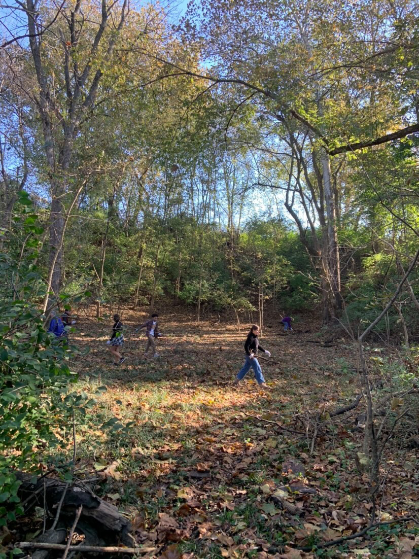 The Cove outdoor classroom area