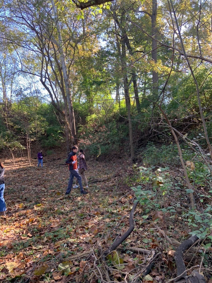 Students cleaning the strub in the cove