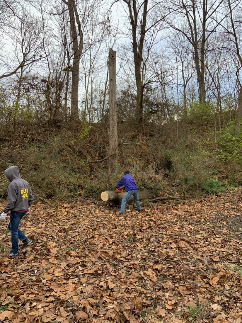 Students cleaning up the cove