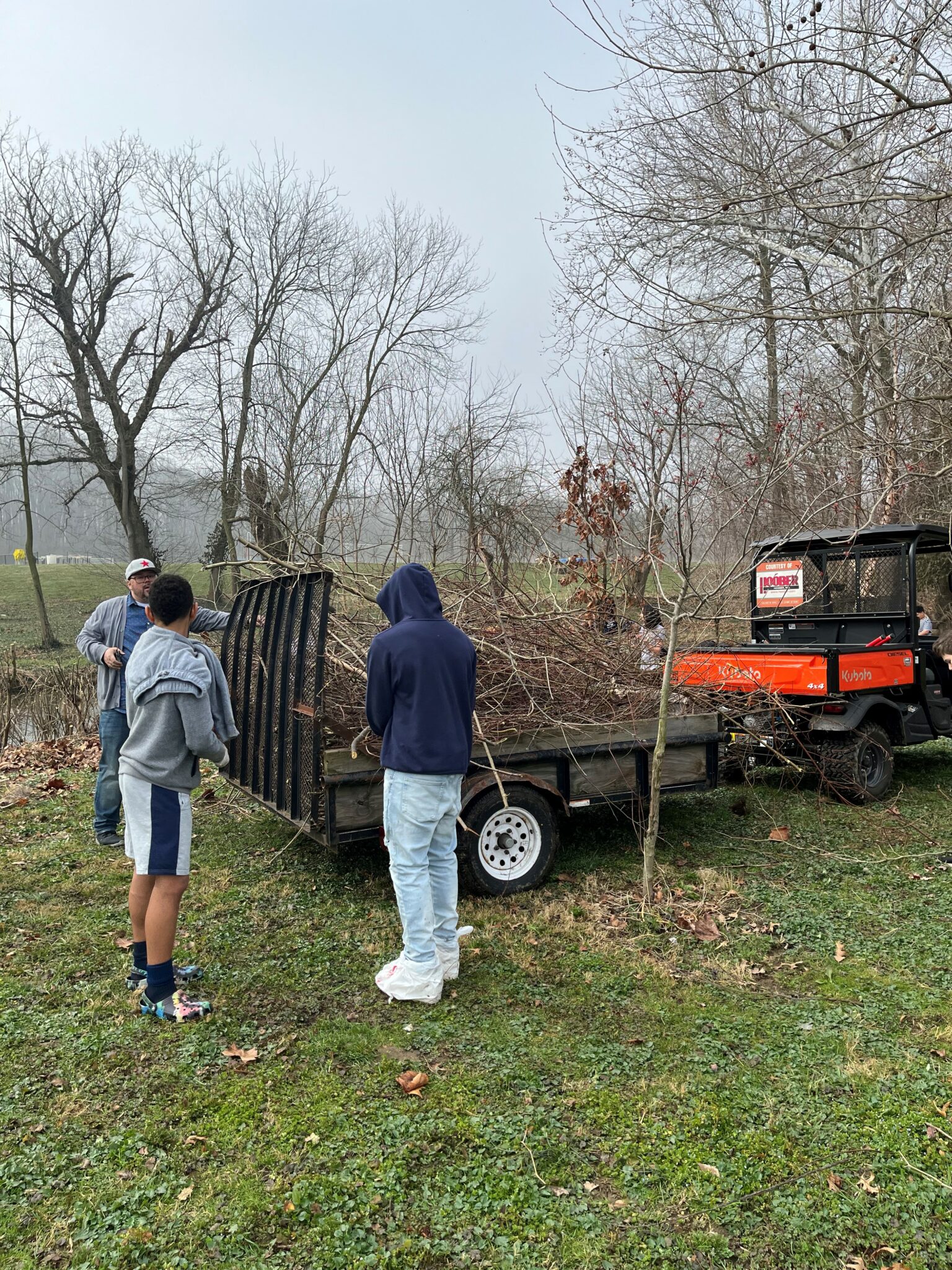 weeds cleanup