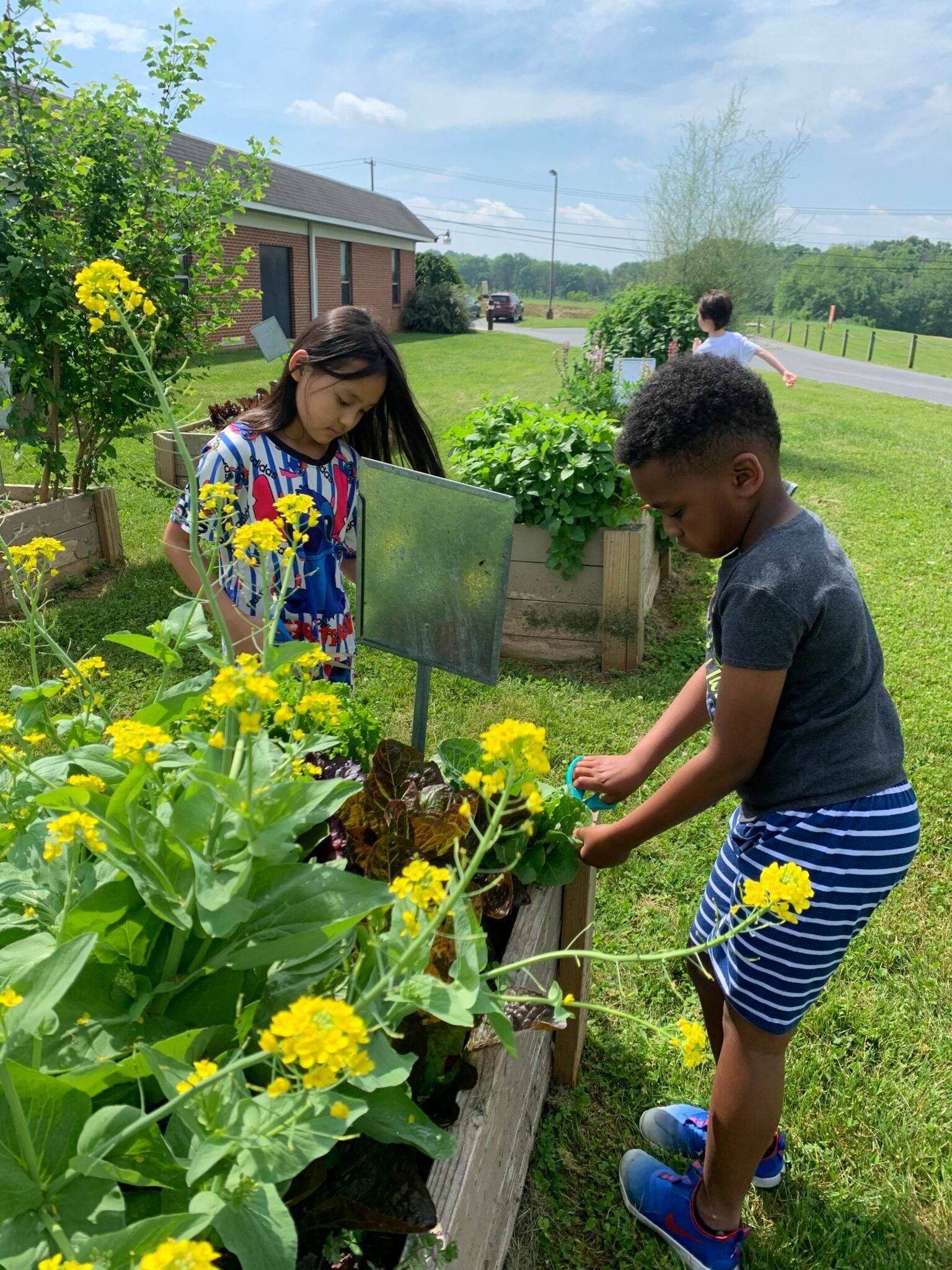 students in the garden