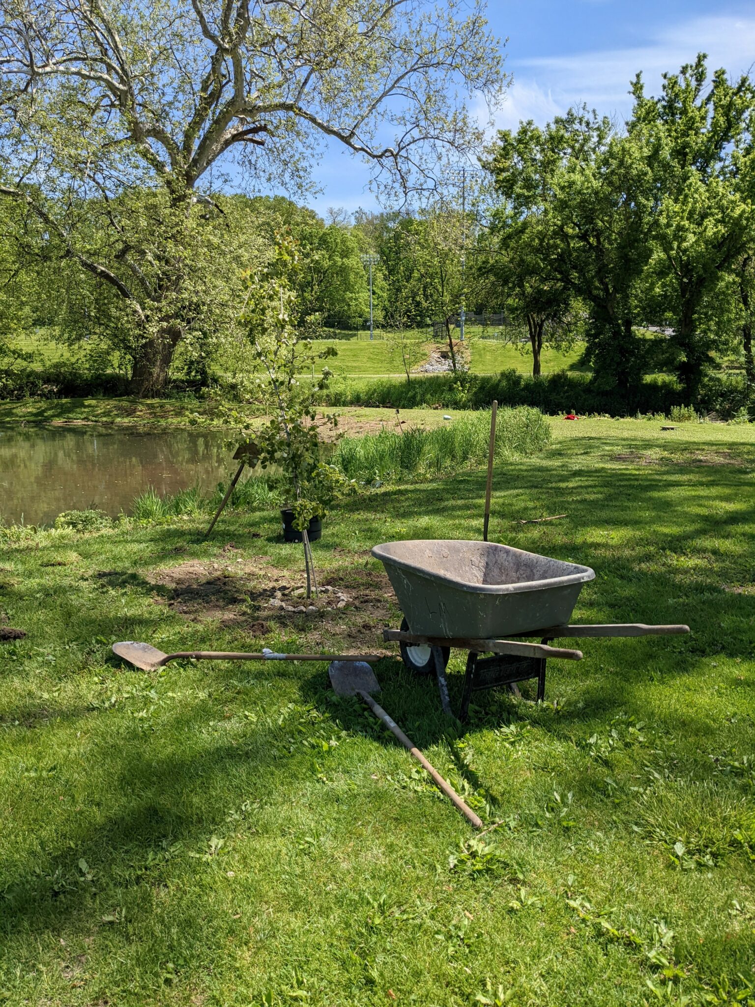 wheelbarrow at pond