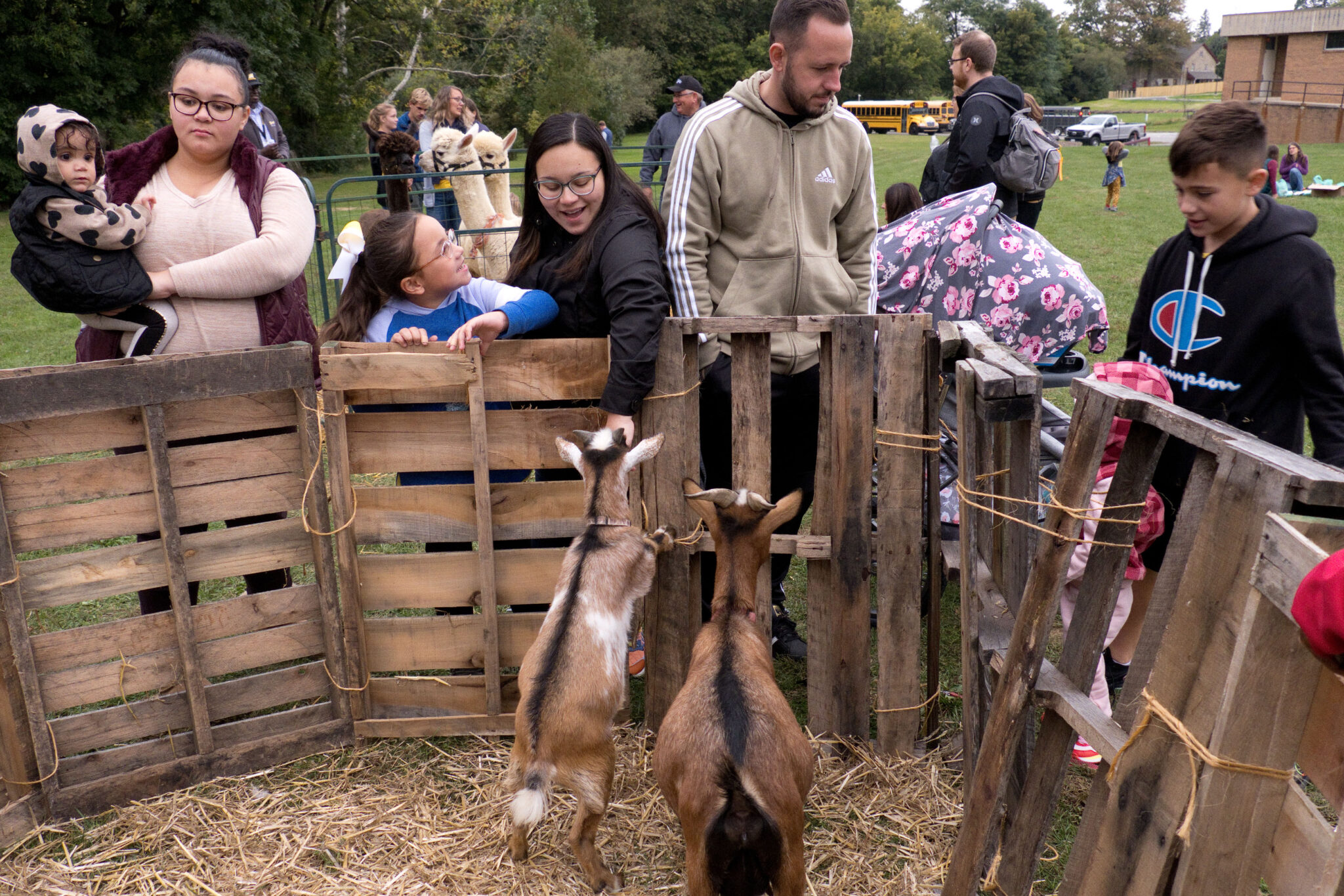 Families visiting the petting zoo