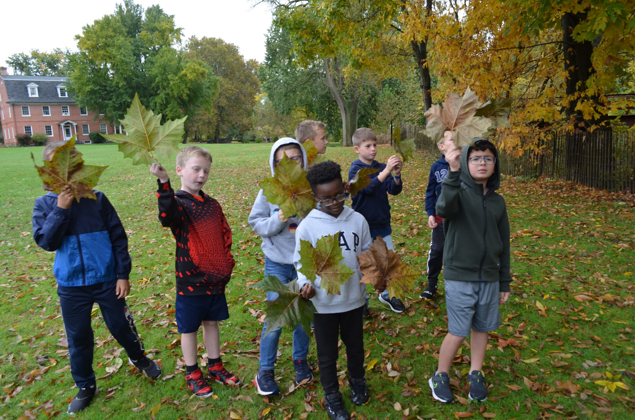 students holding leaves