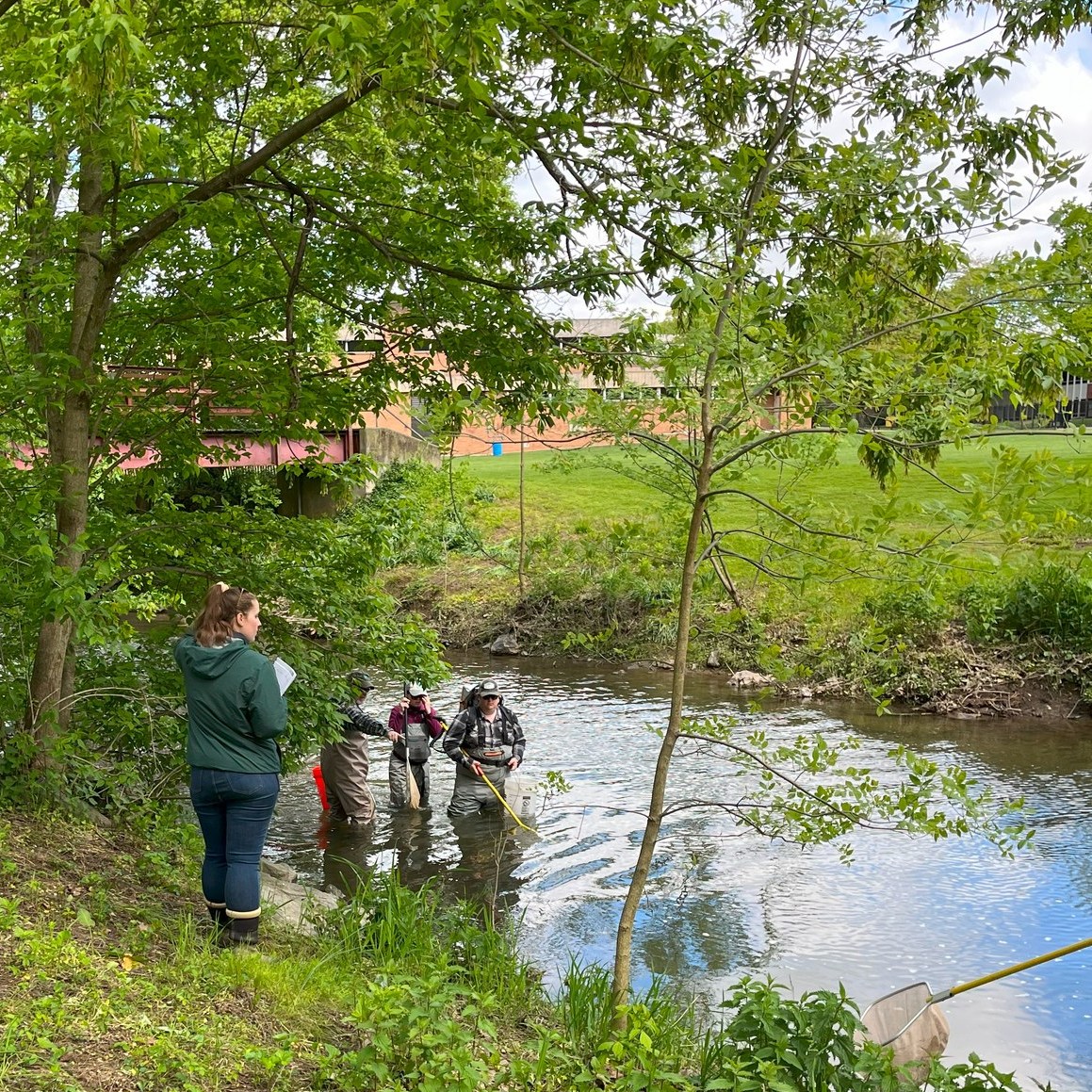 LM students working in the stream