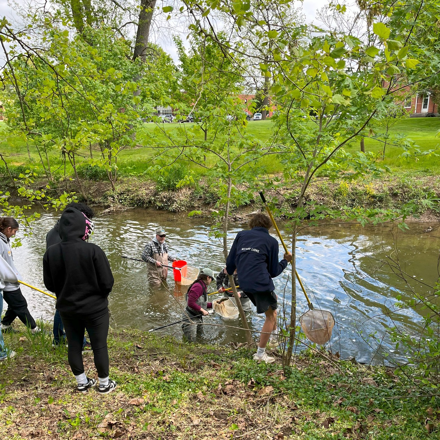 LM students working in the stream