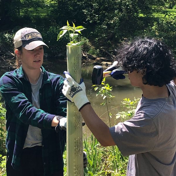 Two students planting a tree