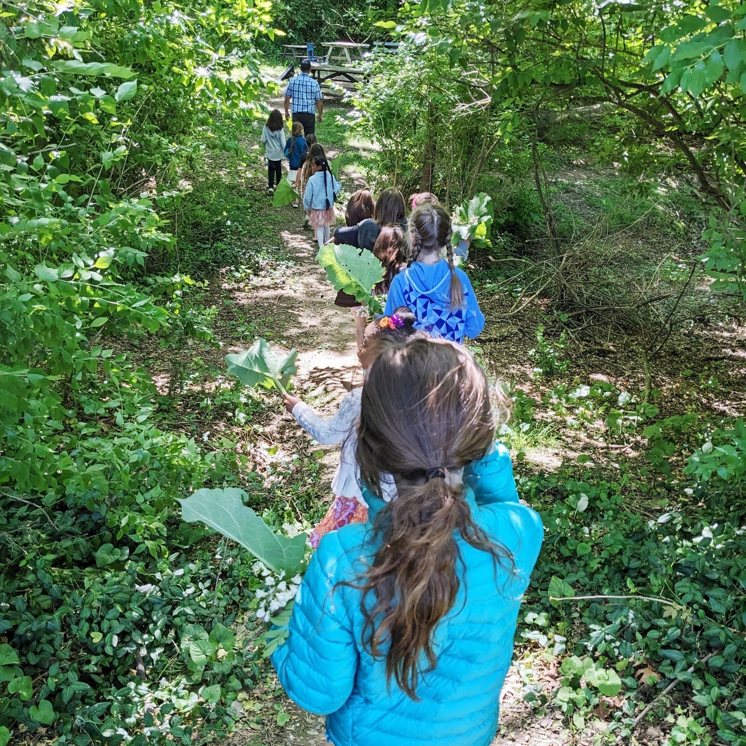 elementary students on nature walk