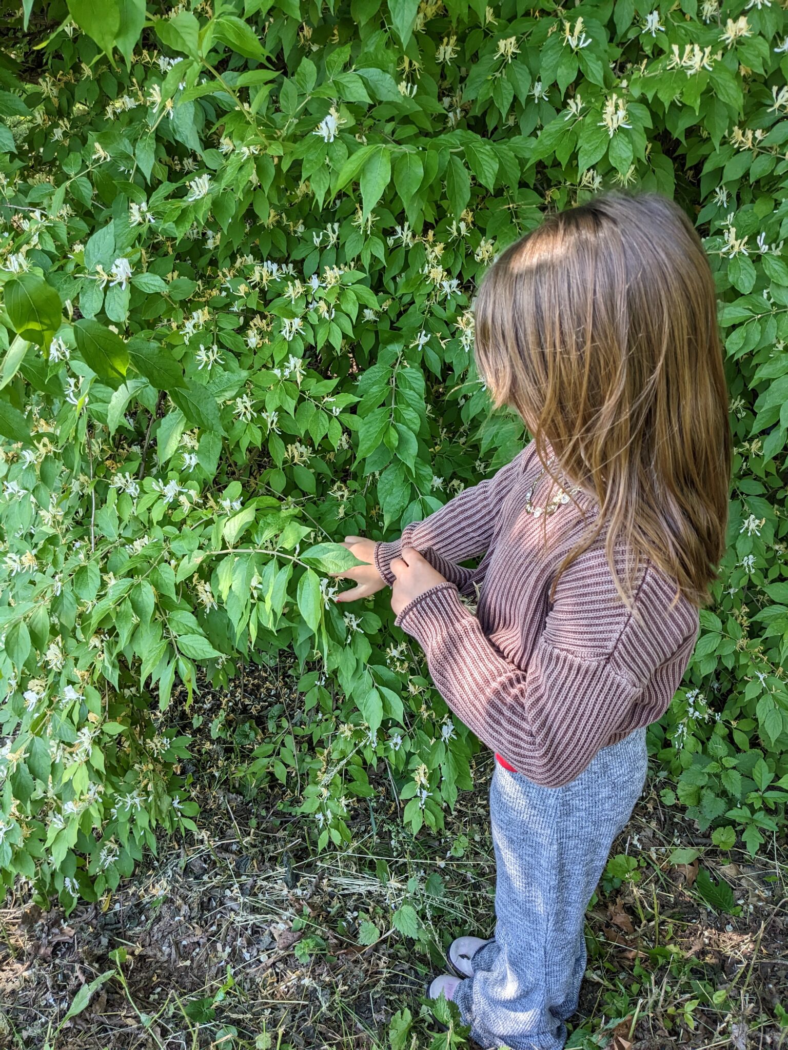 student standing in front of bush