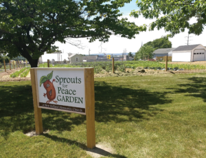 Sprouts for Peace Garden