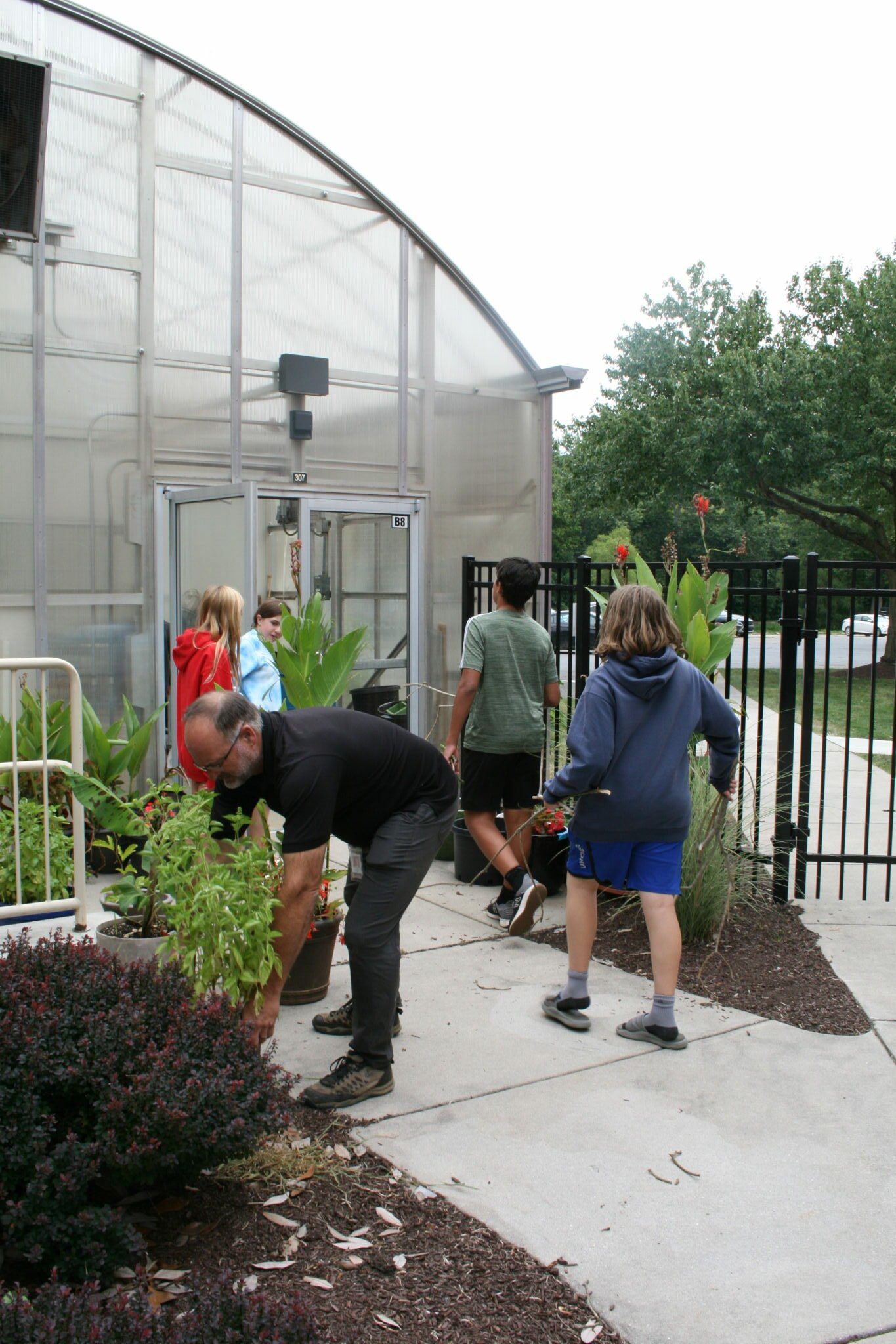 students working in greenhouse