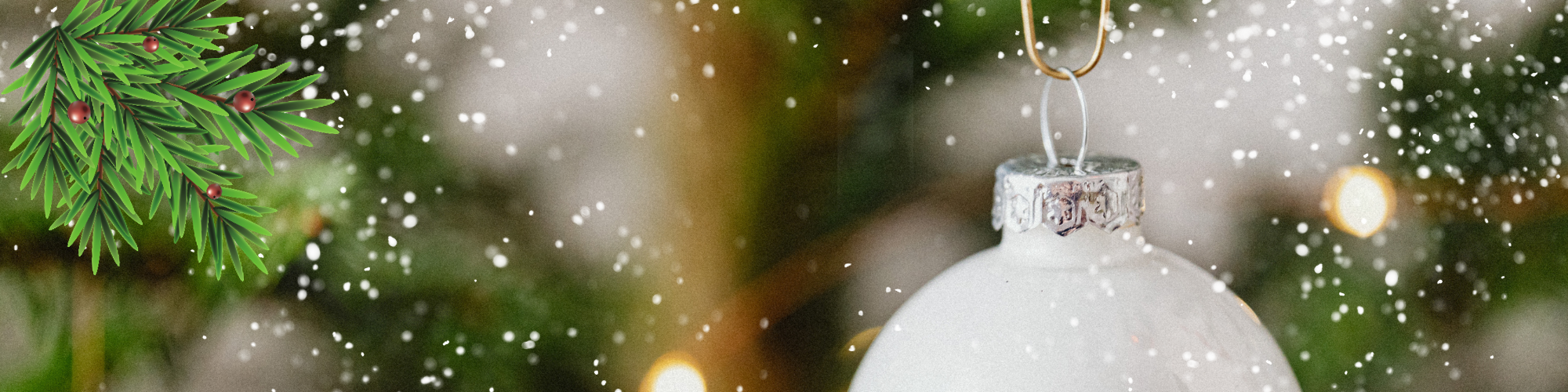 Christmas Concert graphic