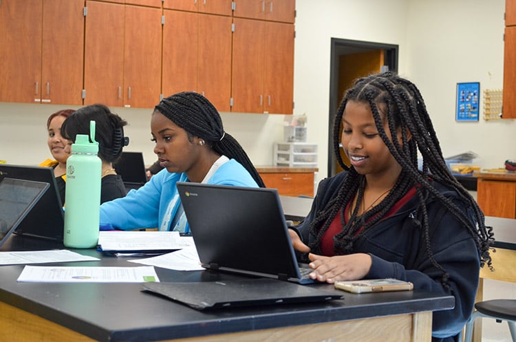 students working on their laptops