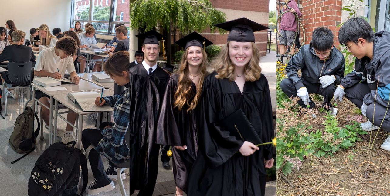 LM student graphic