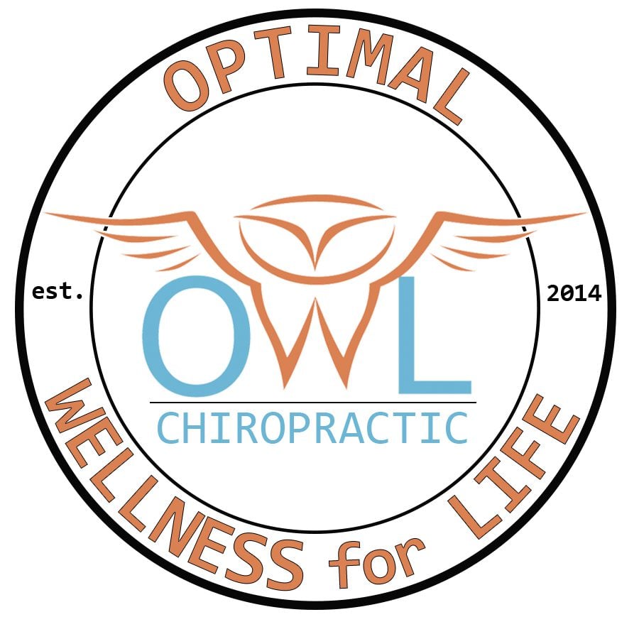 OWL Logo
